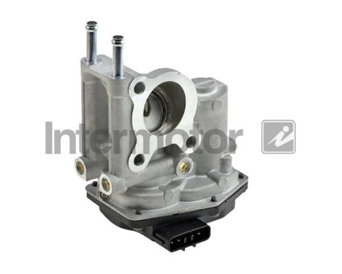 Vanne EGR INTERMOTOR 18131