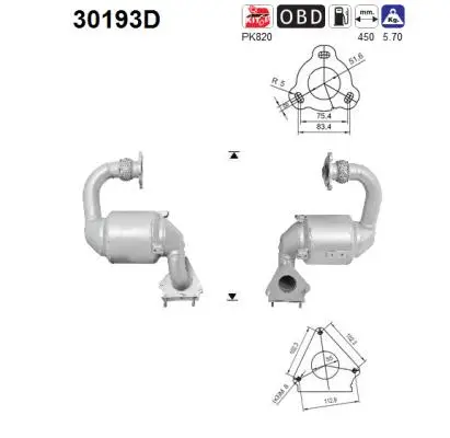Catalyseur AS 30193D