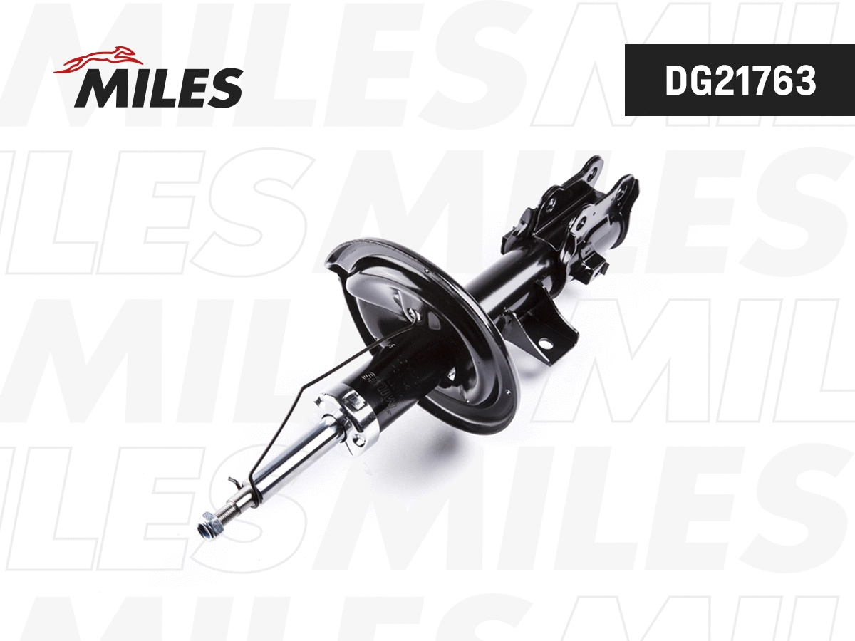 Amortisseur MILES DG21763