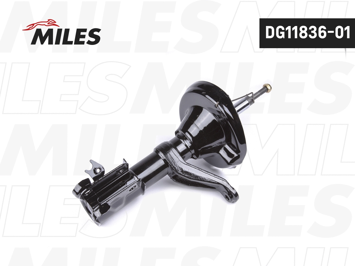 Amortisseur MILES DG11836-01