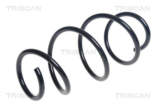 Ressort de suspension TRISCAN 8750 25132