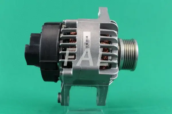 Alternateur FAL Anlasser- und Lichtmaschinenservice F003131/2