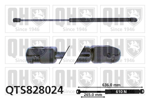Vérin de hayon, de coffre QUINTON HAZELL QTS828024