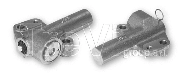 Amortisseur de vibrations, courroie crantée TREVI AUTOMOTIVE TD1668