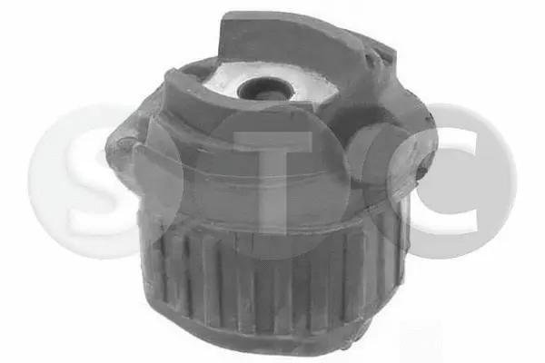 Suspension, corps de l'essieu STC T406081
