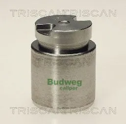 Piston, étrier de frein TRISCAN 8170 233511