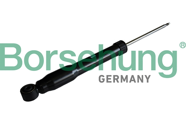 Amortisseur Borsehung B17891