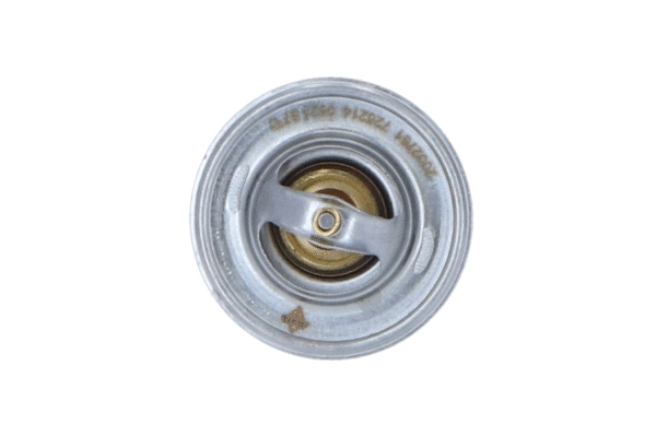 Thermostat, liquide de refroidissement WILMINK GROUP WG2184813