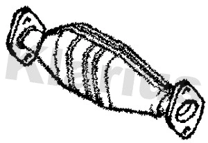 Catalyseur KLARIUS 370592
