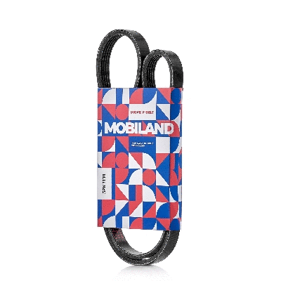 Courroie trapézoïdale à nervures MOBILAND 501251138