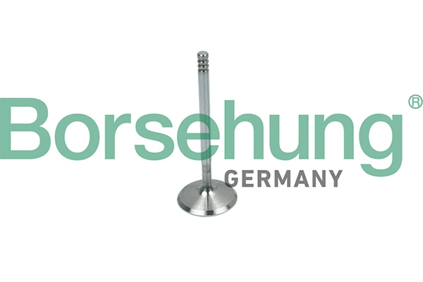 Soupape d'admission Borsehung B19018