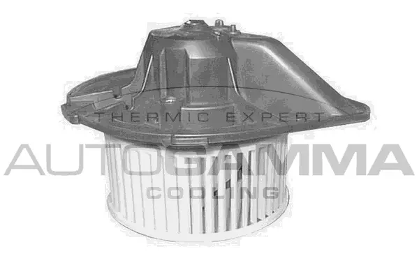 Pulseur d'air habitacle AUTOGAMMA GA20550