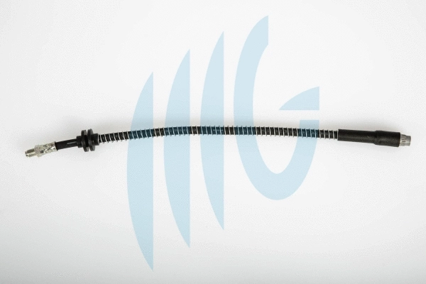 Flexible de frein RICAMBIFLEX GM 02120198