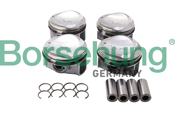 Piston Borsehung B13584