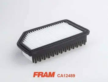 Filtre à air FRAM CA12489