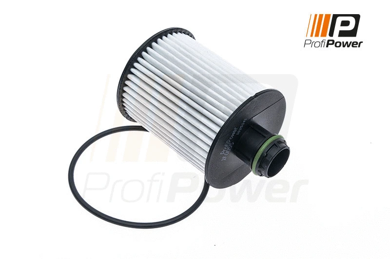 Filtre à huile ProfiPower 1F0055