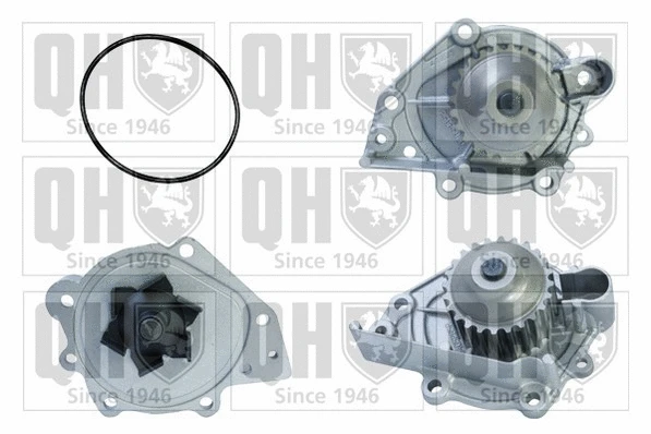 Pompe à eau, refroidissement du moteur QUINTON HAZELL QCP3553