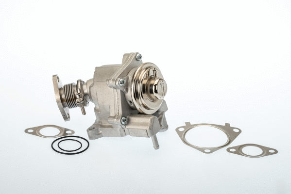 Vanne EGR BorgWarner 7631D