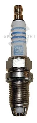 Bougie d'allumage SKANIMPORT FR 5109-1