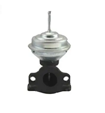 Vanne EGR ASSO 70.0119