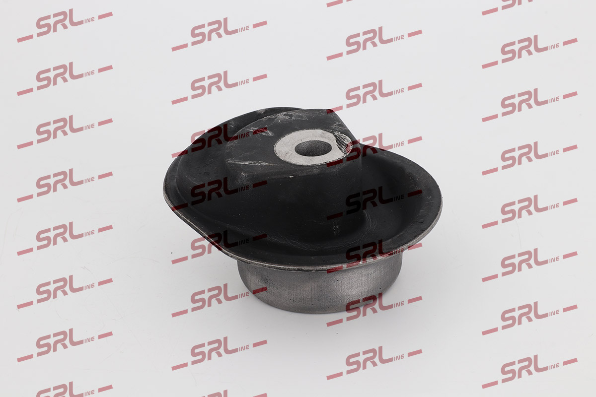 Suspension, corps de l'essieu SRLine S2495007