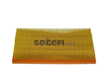 Filtre à air FRAM CA5695