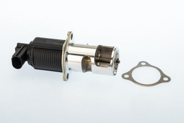 Vanne EGR BorgWarner 710950D/1