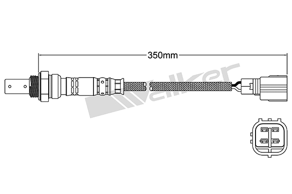 Sonde lambda VEGAZ GmbH DLS-494