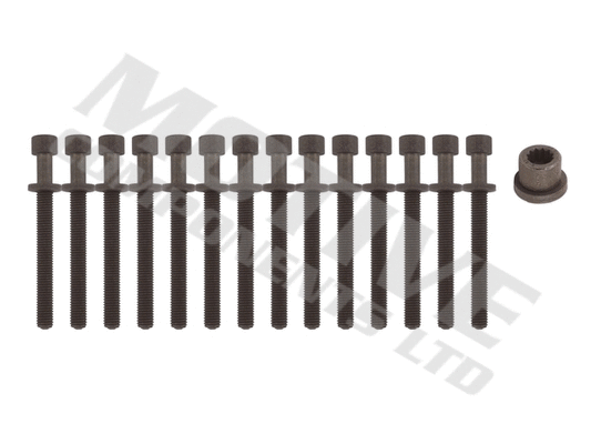 Jeu de boulons de culasse de cylindre MOTIVE HB217SET