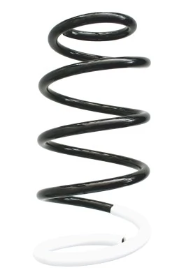 Ressort de suspension SPIDAN 86711