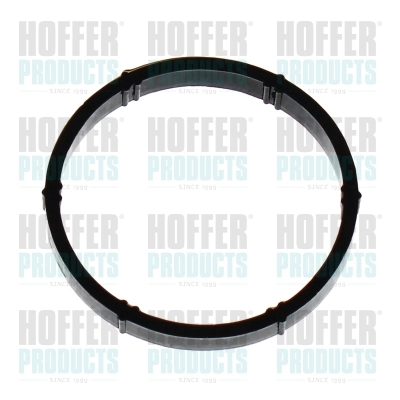 Joint, collecteur d'admission HOFFER 016153