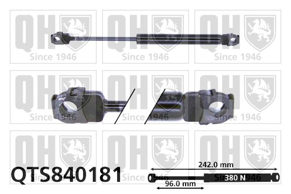 Vérin, capot-moteur QUINTON HAZELL QTS840181