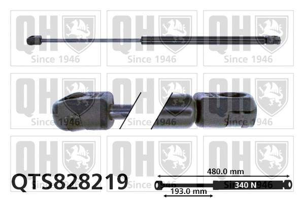 Vérin de hayon, de coffre QUINTON HAZELL QTS828219