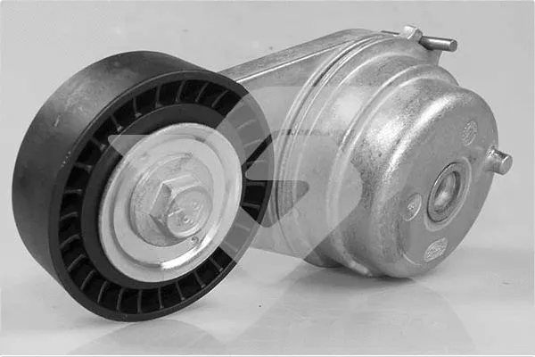 Poulie de tension, courroie trapézoïdale à nervures HUTCHINSON T0613