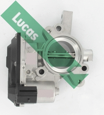 Corps papillon LUCAS LTH559