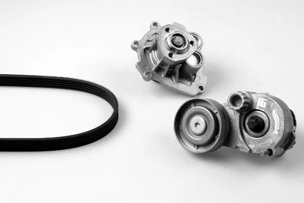 Pompe à eau+Jeu de courroie trapézoïdale à nervures GK K980768B