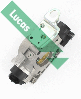 Corps papillon LUCAS LTH447