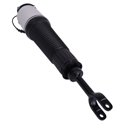 Amortisseur BAPMIC BACB13-383003