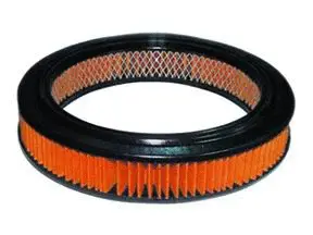 Filtre à air ACDelco Oceania ACA76