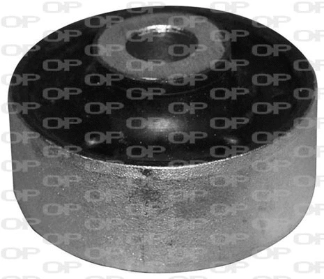 Suspension, bras de liaison OPEN PARTS SSS1002.11