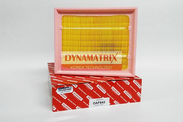Filtre à air DYNAMATRIX DAF643