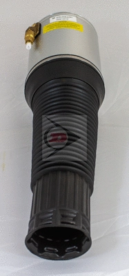 Armortisseur pneumatique DUNLOP DAS10016