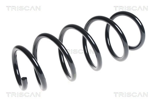 Ressort de suspension TRISCAN 8750 4089