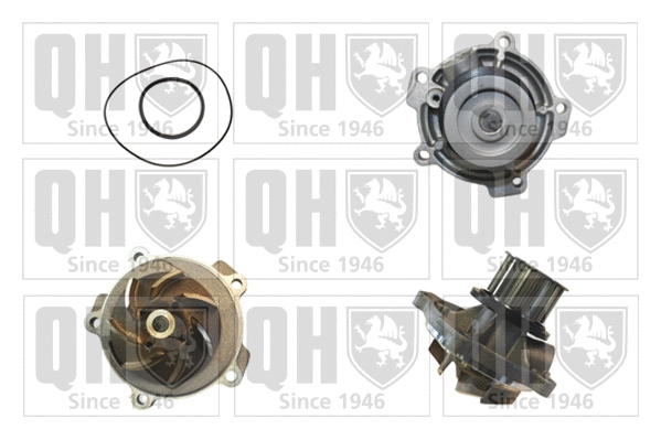 Pompe à eau, refroidissement du moteur QUINTON HAZELL QCP3790