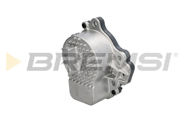 Pompe à eau, refroidissement du moteur BREMSI WP0279