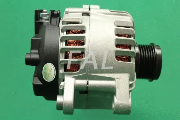 Alternateur FAL Anlasser- und Lichtmaschinenservice F012019/2