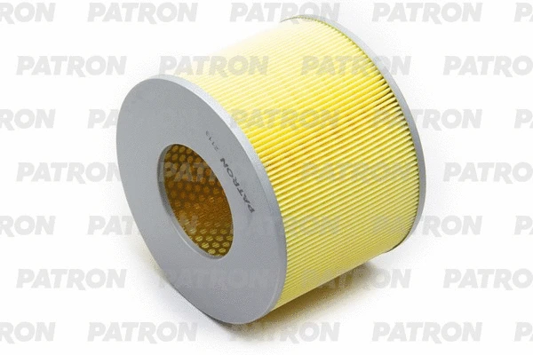 Filtre à air PATRON PF1841