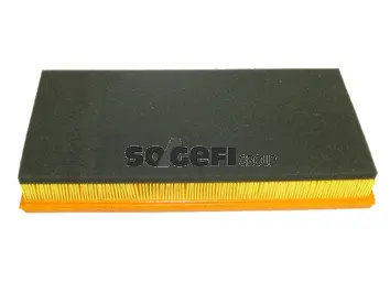Filtre à air FRAM CA8829