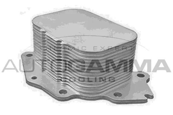 Radiateur d'huile AUTOGAMMA 107850