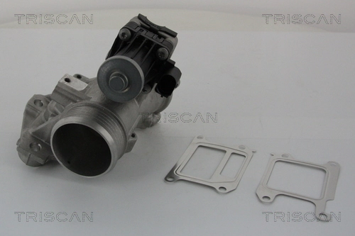Vanne EGR TRISCAN 8813 27102